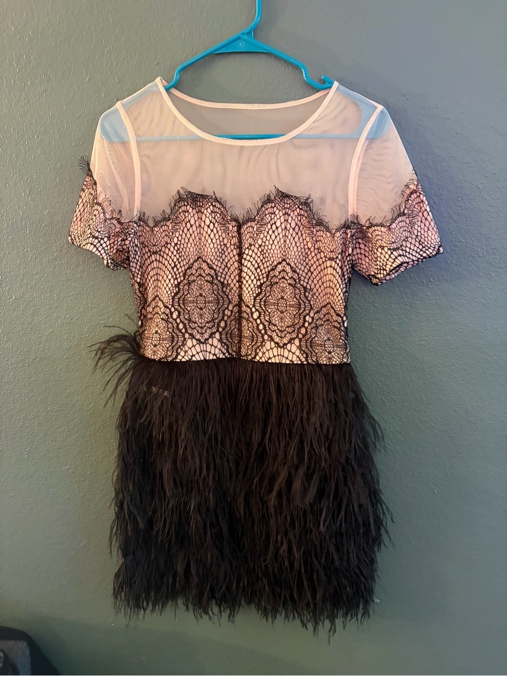Sugarlips Pink Lace Bodice with Black Feather Skirt Mini